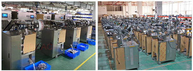 Automatic packaging production Line